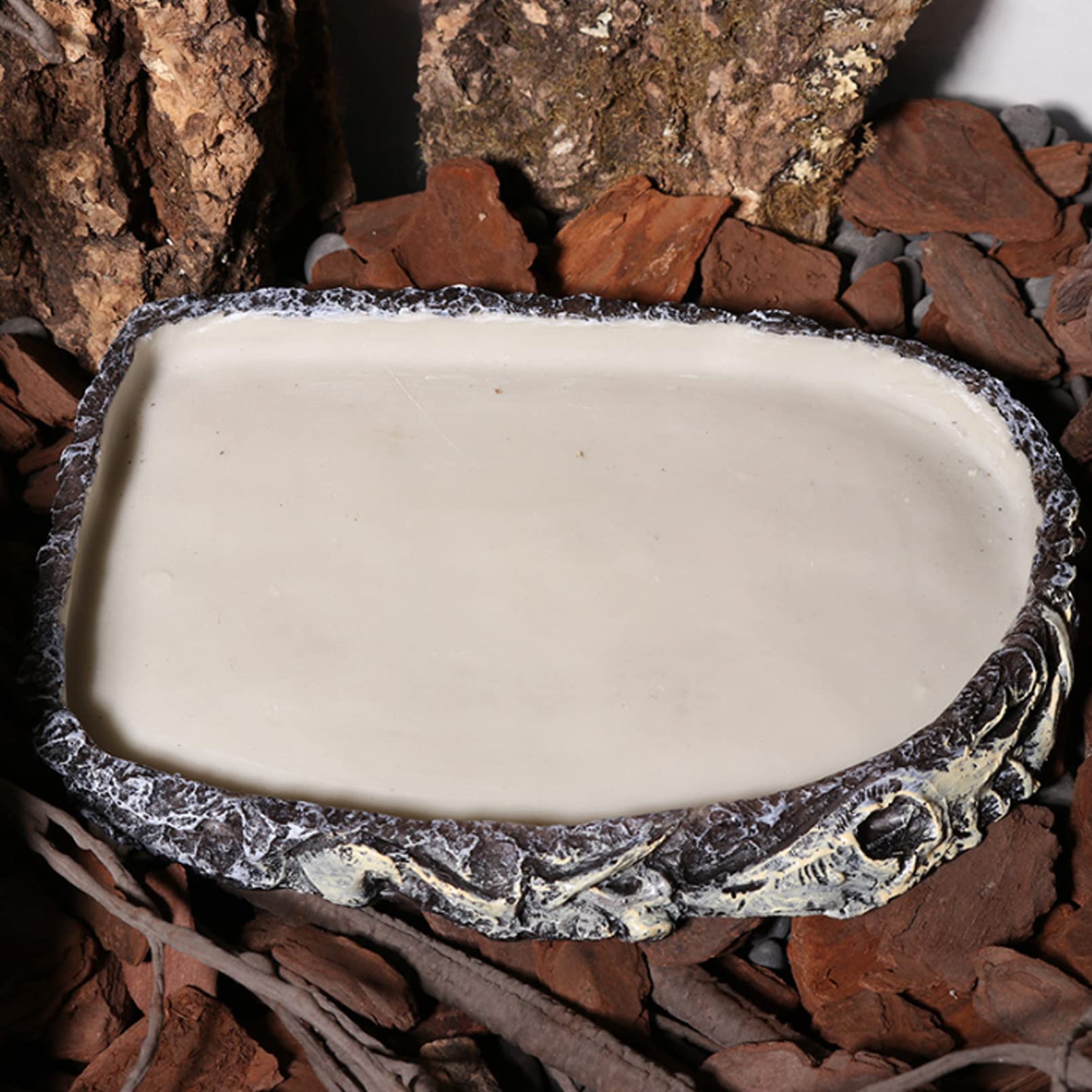 Tfwadmx Confezione da 2 ciotole per rettili per acqua e rettili, per cibo e acqua, per lucertole, drago, tartaruga, rana, leopardo, geco, camaleonte