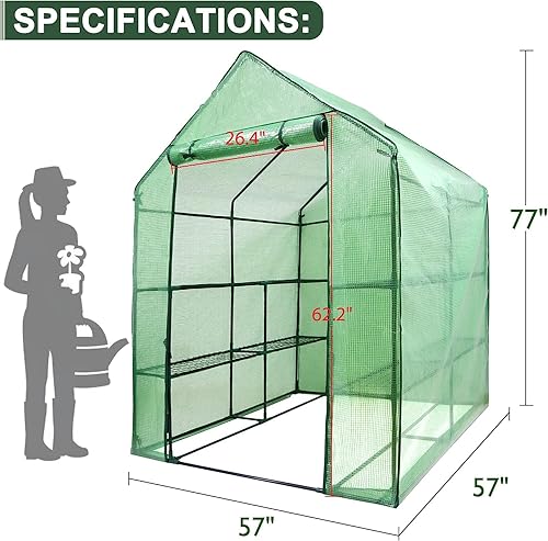 Miniatura 6 de Bbbuy Invernadero