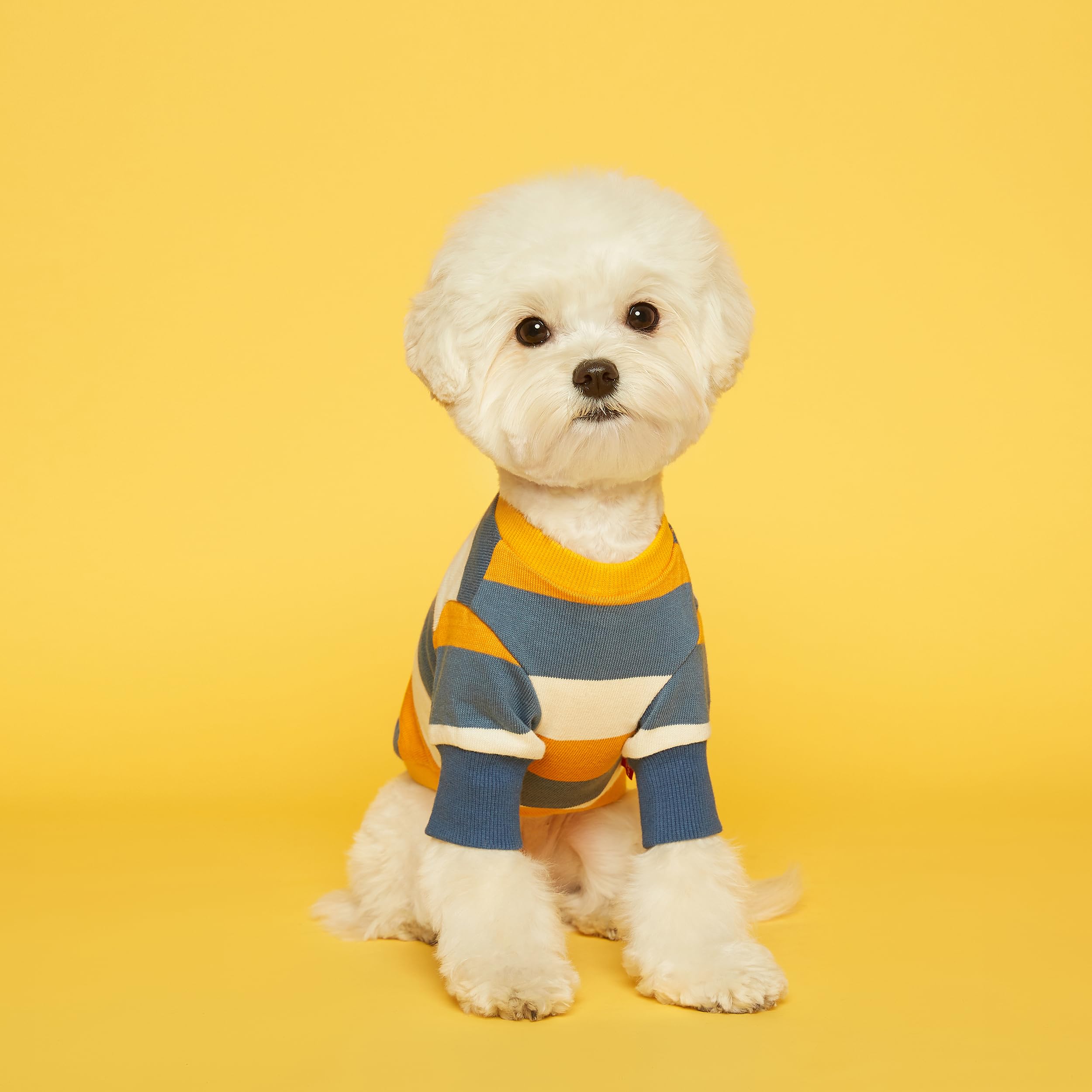 FLOT Designer‑Hunde‑Fleecepullover – Flauschig Warm, Maßgeschneiderte Passform – Hergestellt In Korea, Größe S