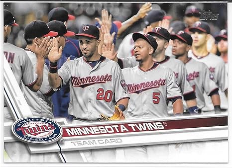 minnesota twins team store