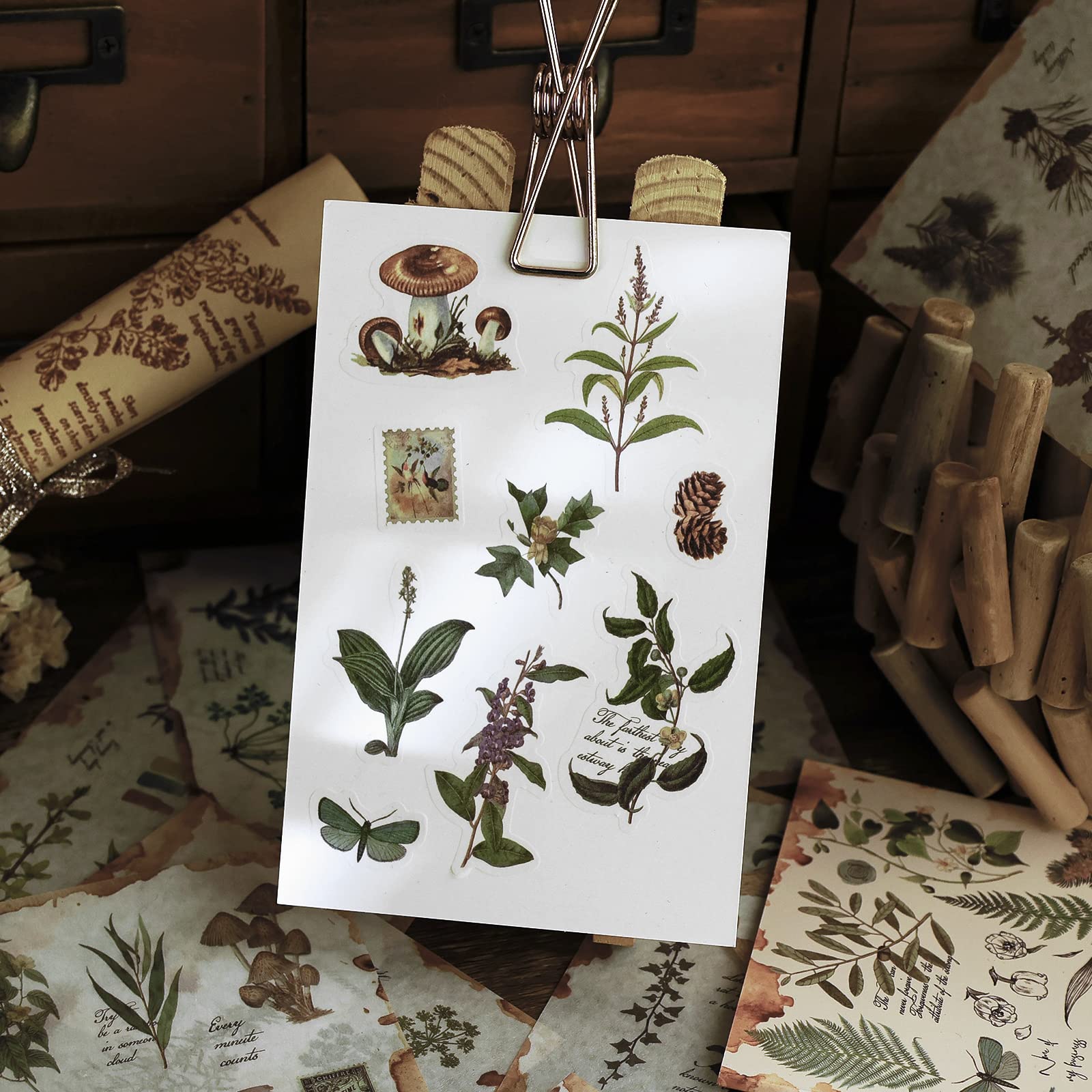 46 stuks kleine formaat natuurlijke plantenstickers, bladeren decoratieve stickers, planten jungle-stickers, groene bladstickers, voor kalender, scrapbook, reiskoffer, doe-het-zelf decoratie