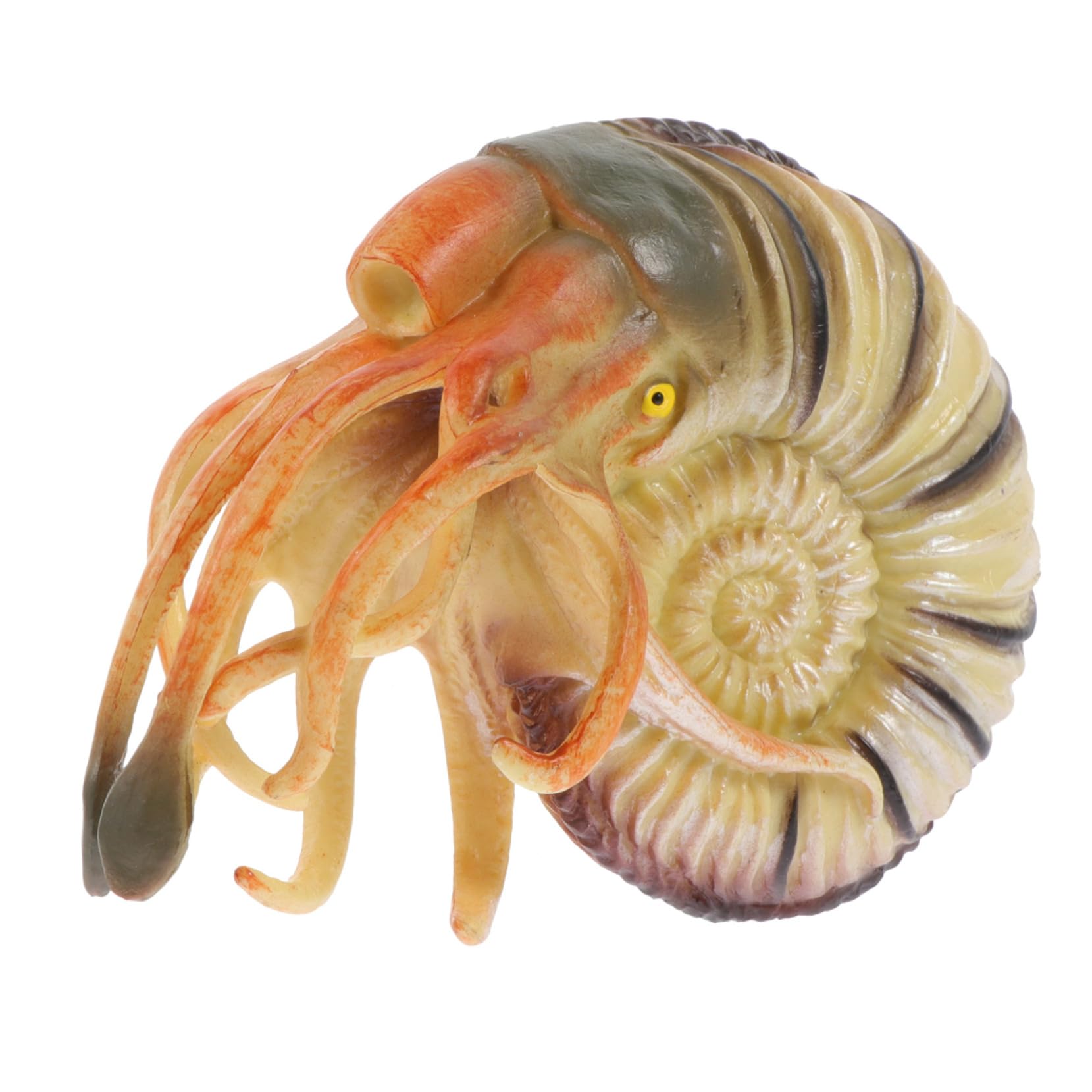 minkissyNautilus Model Gift Child Artificial Pvc