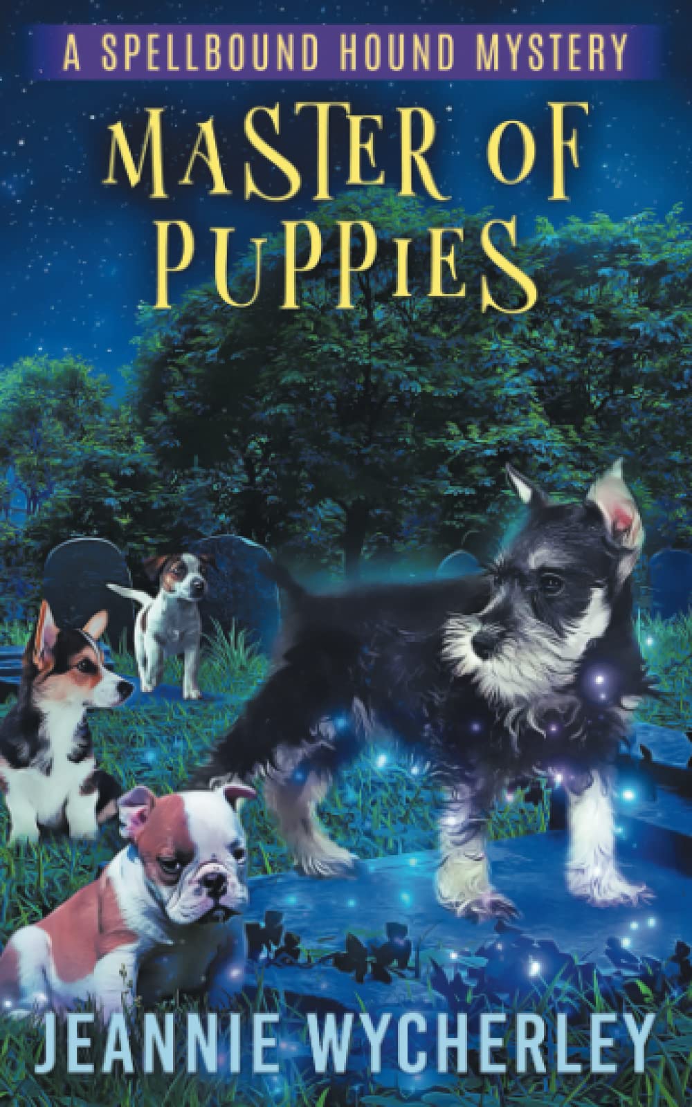 Master of Puppies: A Paranormal Animal Cozy Mystery (Spellbound Hound Magic and Mystery)