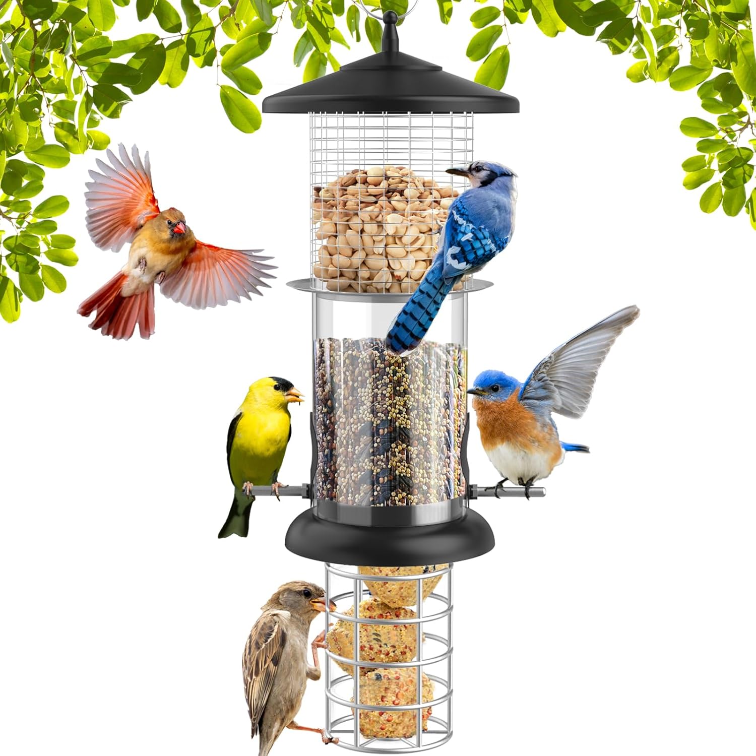 in 1 Suet Bird Feeder