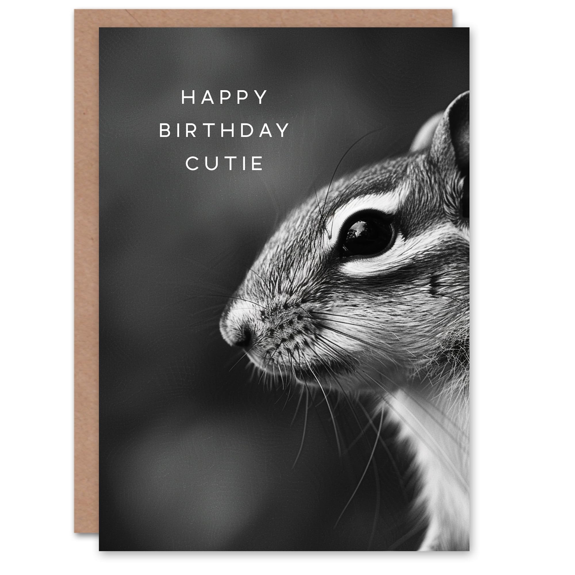 Artery8 Greeting Card - Cutie Chipmunk Photo - Animal Lover - Black & White - Woodland - Grey