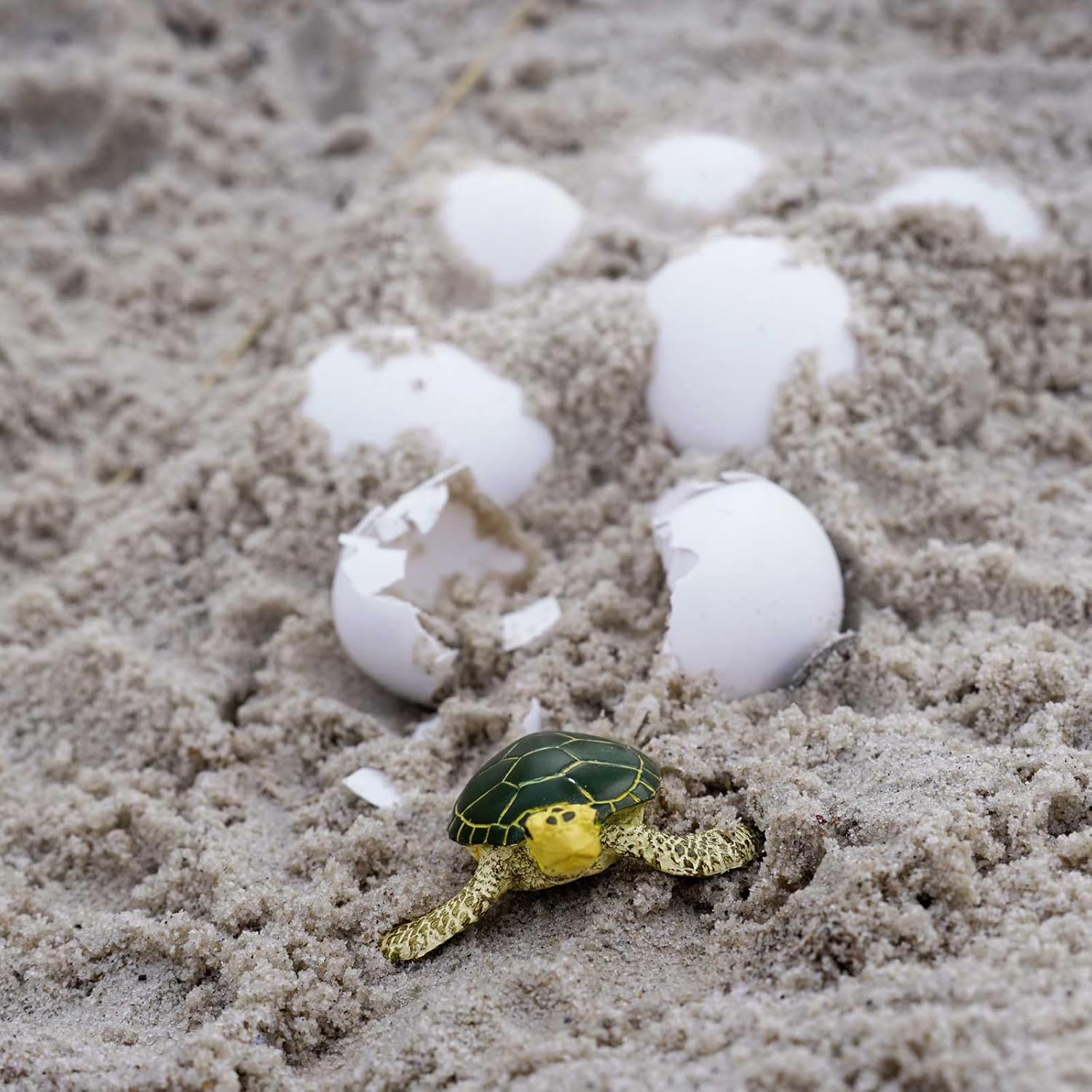 Safari Ltd. Green Sea Turtle Baby Figurine - Realistic 2.38" Model Figure - Educational Toy for Boys, Girls, and Kids Ages 1+