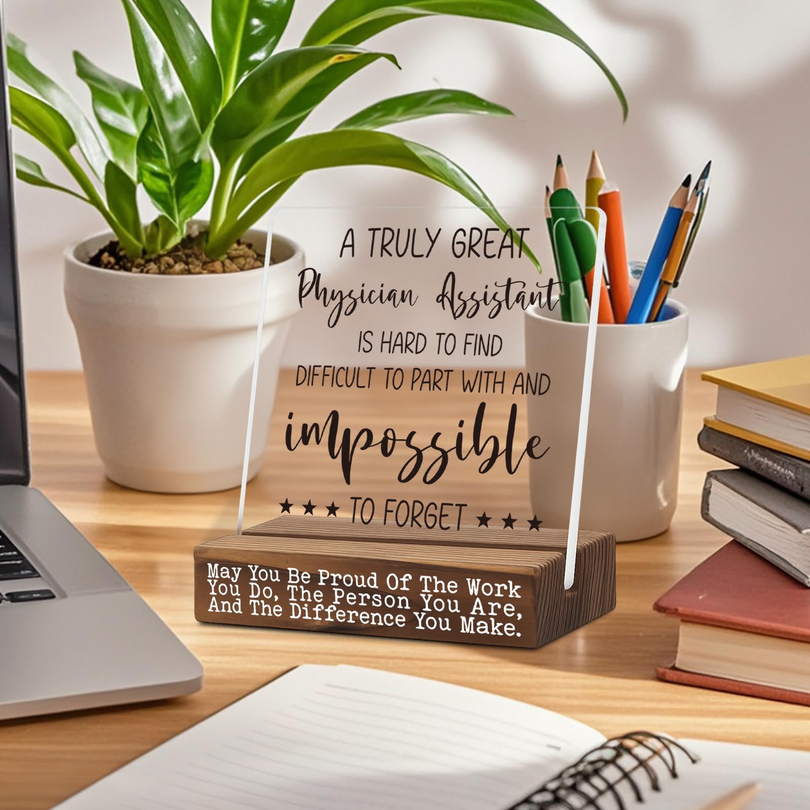 Physician Assistant Thank You Gift Desk Sign, Inspirational Gift for PA Week Retirement Promotion Birthday, Appreciation Office Decor for Women Men, Recognition Plaque from Patient Coworker TZ287
