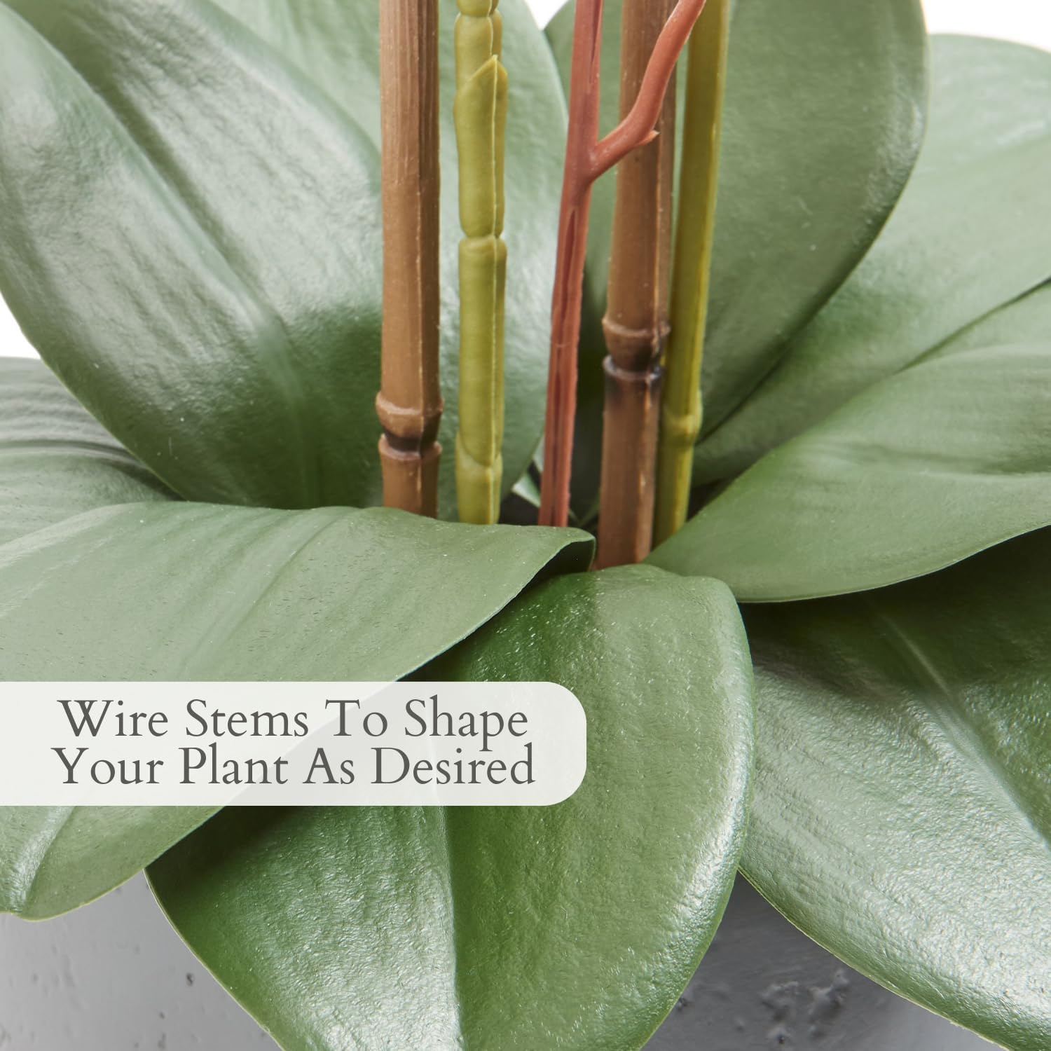 CG Hunter Faux White Orchid Plant, Premium Artificial Indoor Flower Display Stands 25-Inches with Beautiful Sculptural Blooms and Foliage That Lasts Forever, Grey Planter Pot Included - Image 4