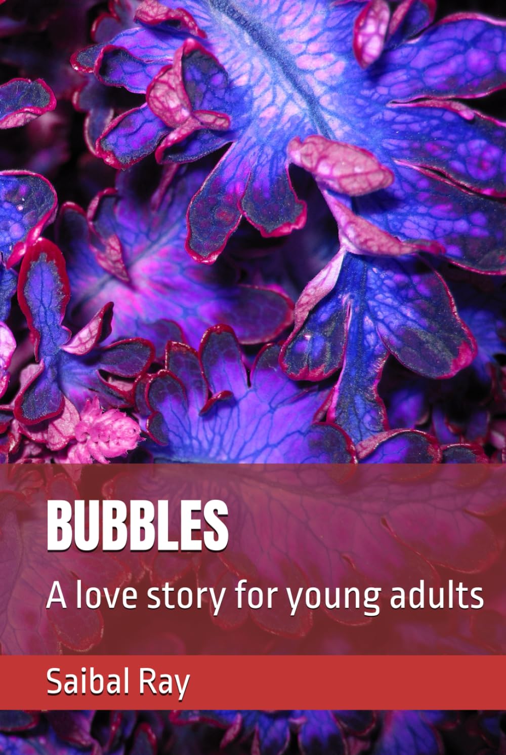 BUBBLES: A love story for young adults