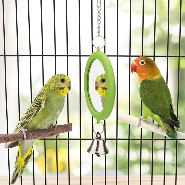 Foto 7 de 7 de Espejo para pájaros con campana, juguete interactivo para loros, jaula de pájaros, para periquitos cacatúas