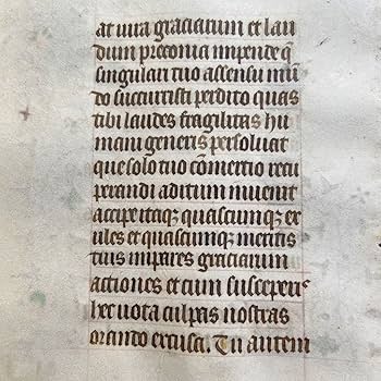 15世紀 フランス 時祷書 零葉 装飾写本 羊皮紙 Amazon.co.jp: 15世紀 フランス 羊皮紙 時祷書 零葉 写本 : おもちゃ