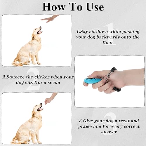 32 Pack Dog Training Clicker Bulk — lifestyle photo