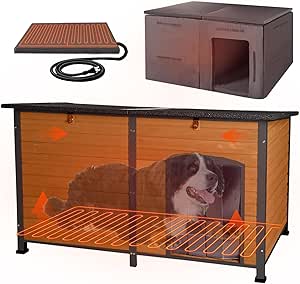 Picture of Amazon.com : 59