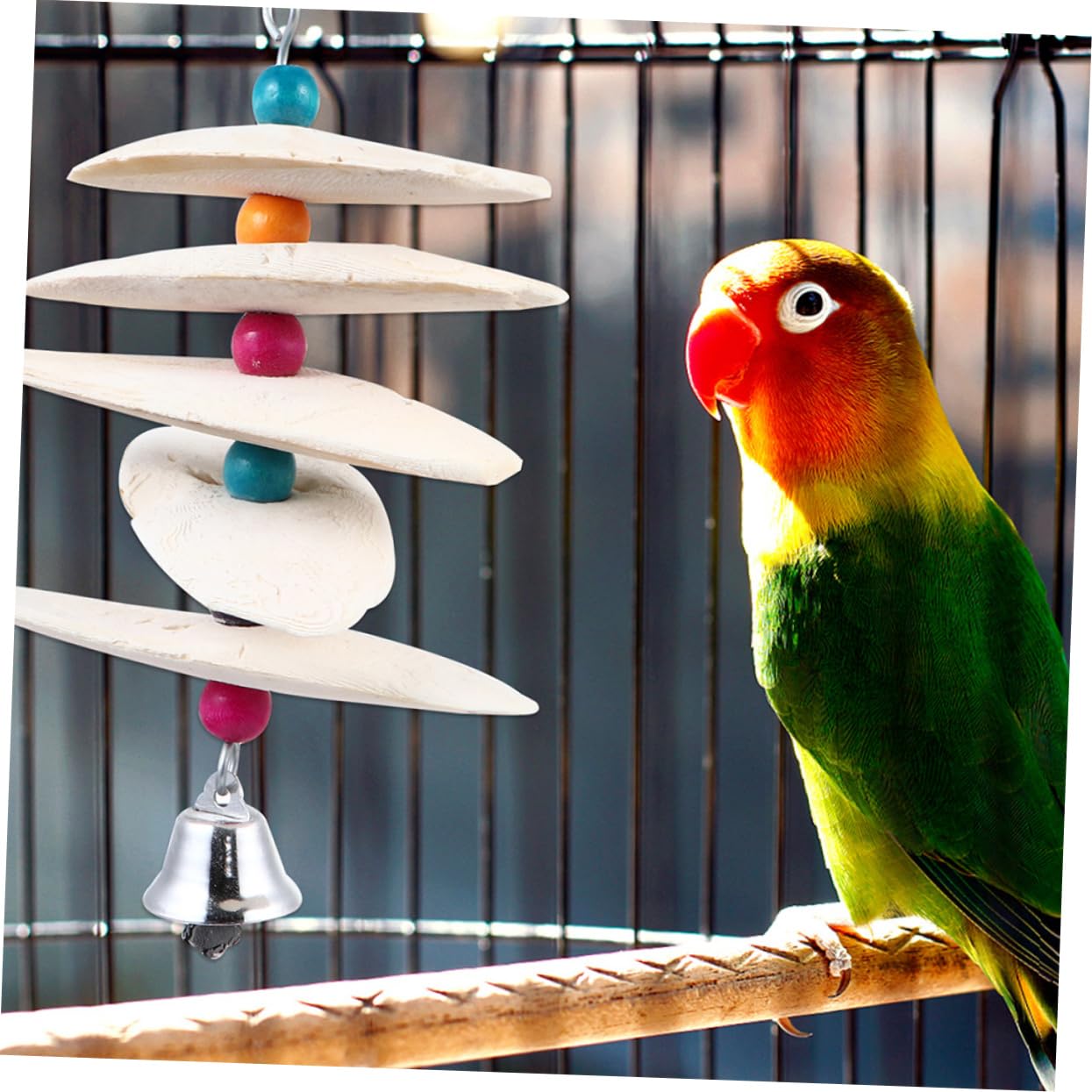 YARNOW 6 Pièces Os de seiche de Perroquet Jouets à mâcher Jouet en os de seiche Squid Parrot Jouets pour Animaux de Compagnie Jouet à mâcher en os sépia écureuil Mordant la molaire Puzzle