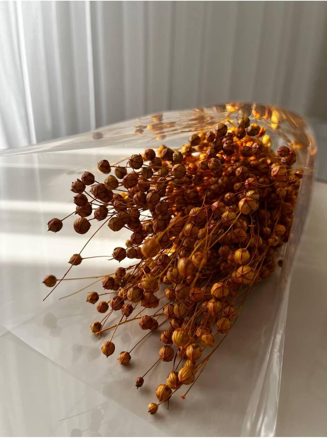 Dried Flowers Yellow Luna Pods Floral Arrangement Home Decor Craft Supply - Yellow