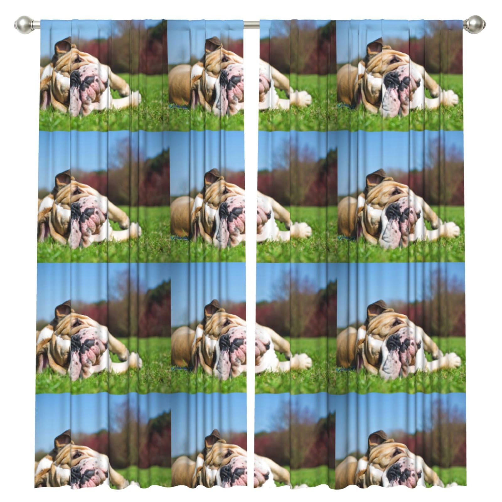 InOmak English BullDogs Tired Dogs Lawn Pets English, 2 Panels Window Curtains 52 x 84 Inch Blackout Curtains for Living Room Bedroom