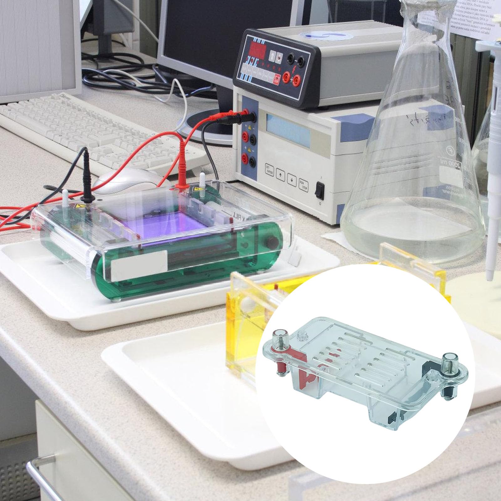 Dispositivo de electroforesis horizontal de laboratorio, escuela, experimento de biología, cámara horizontal, aparato de plástico
