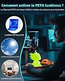 SUNLU PETG Glow in the Dark, Pack de Filament d'imprimante 3D Phosphorescent, Filament Haute Résistance, 250g par Bobine, 8 Rouleaux, (petg Noir Blanc avec 6 bobines in Glowing Bleu/Vert/Rouge/Jaune) - 4