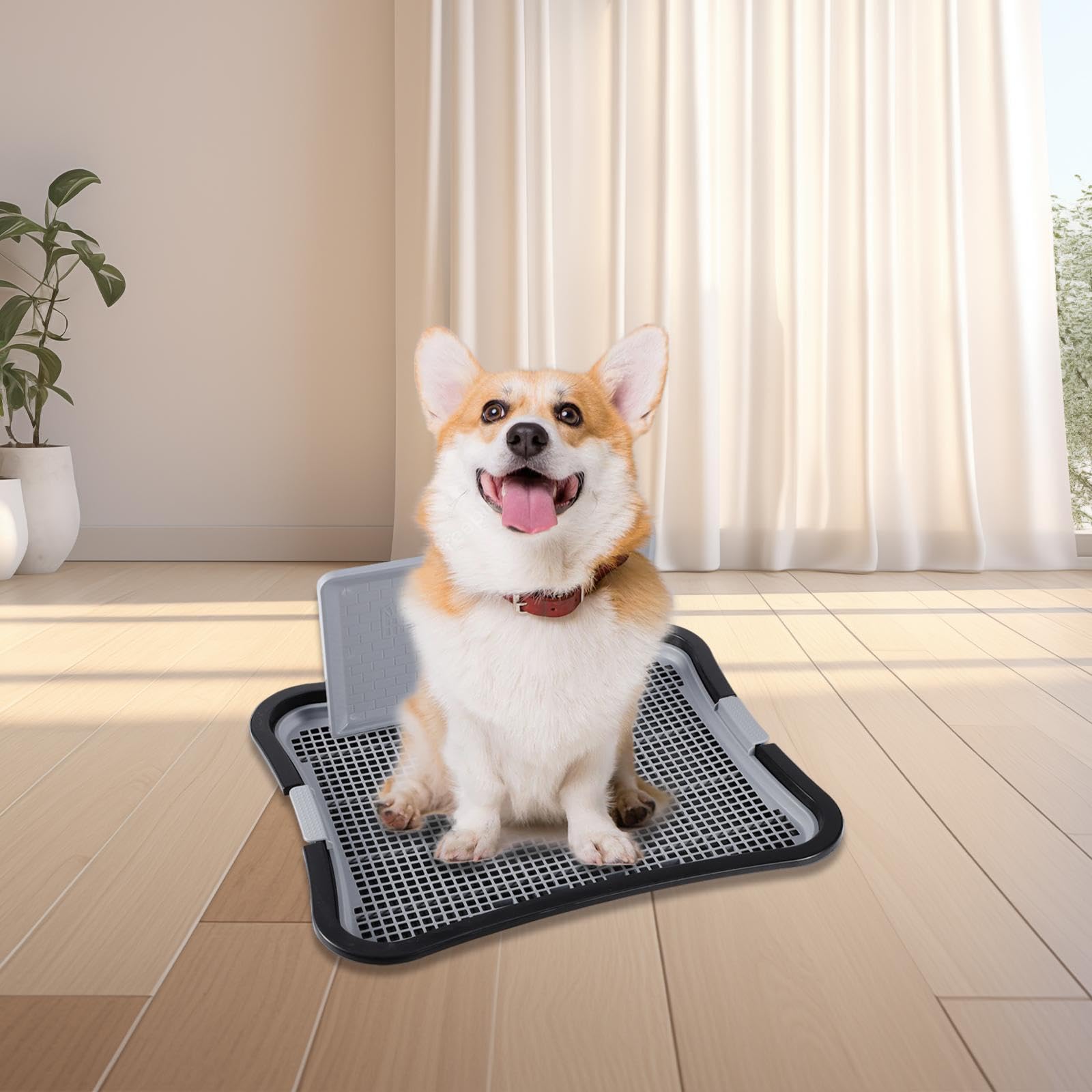 Système d'apprentissage de la propreté Portable pour Chiens d'intérieur, Facile à Nettoyer et adapté à différentes Tailles de Chiens. Un Choix