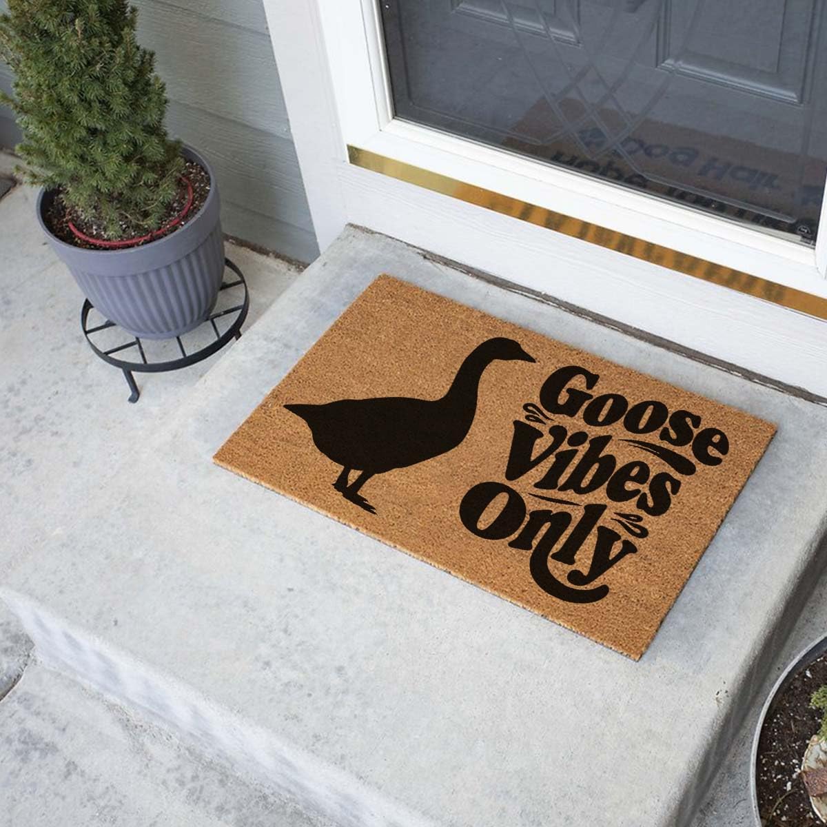 Lustige Kokosfaser-Fußmatte, 60 x 40 cm, personalisierbar, Geschenk für den Außeneingang, Veranda, Terrassentür, rutschfeste Dekoration (nur Goose Vibes)