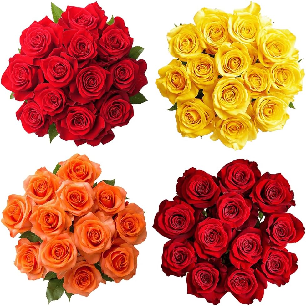 GlobalRose 100 Red & Assorted Roses Bouquet - Responsibly Sourced Roses Fresh Flowers - Flowers Fresh Bouquet for Graduation, Anniversary, Birthday & Special Occasions (50 Red & 50 Assorted Stems)