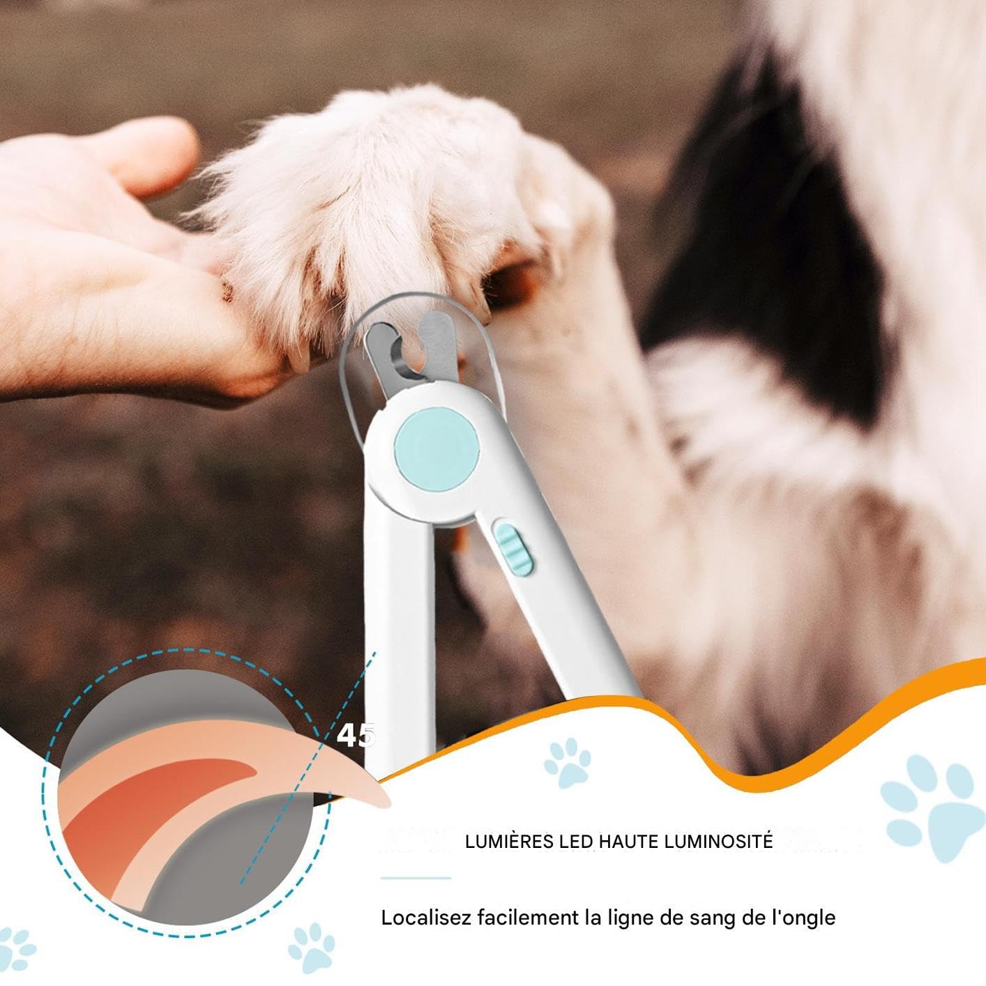 Nagelschere, Krallenknipser for Welpen mit Licht – glättendes Fellpflege-Werkzeug for kleine Tiere, Kaninchen, Vögel, Kätzchen, for den Heimgebrauch