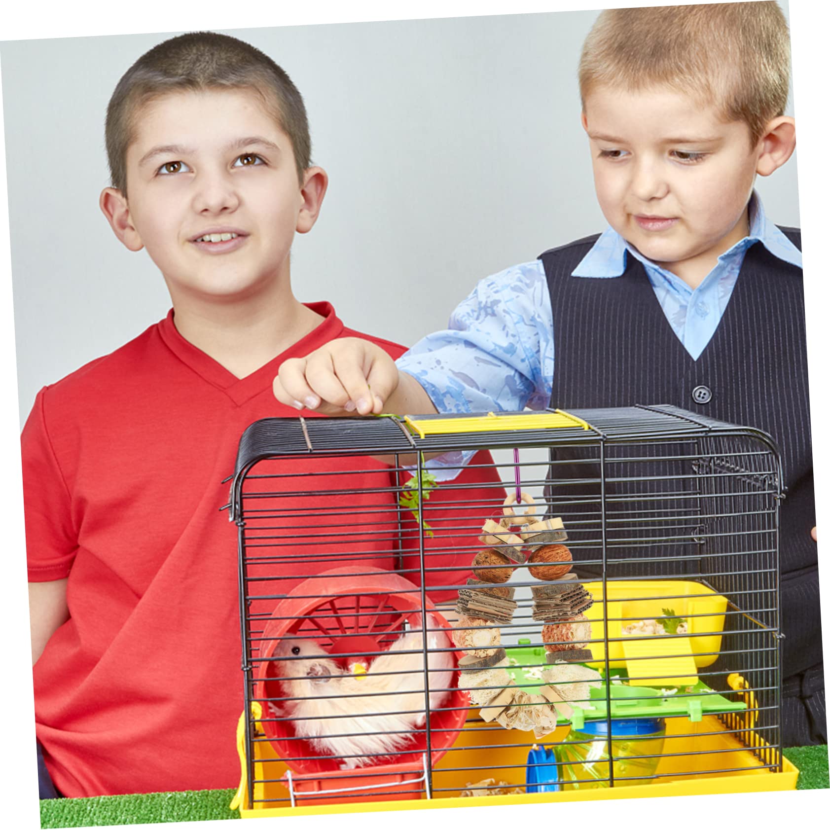 Beaupretty 4pièces Jouet à Mâcher pour Rongeurs Accessoire De Divertissement pour Hamsters Cobayes Et Petits Animaux avec pour Cage