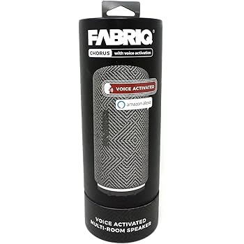fabriq chorus smart speaker