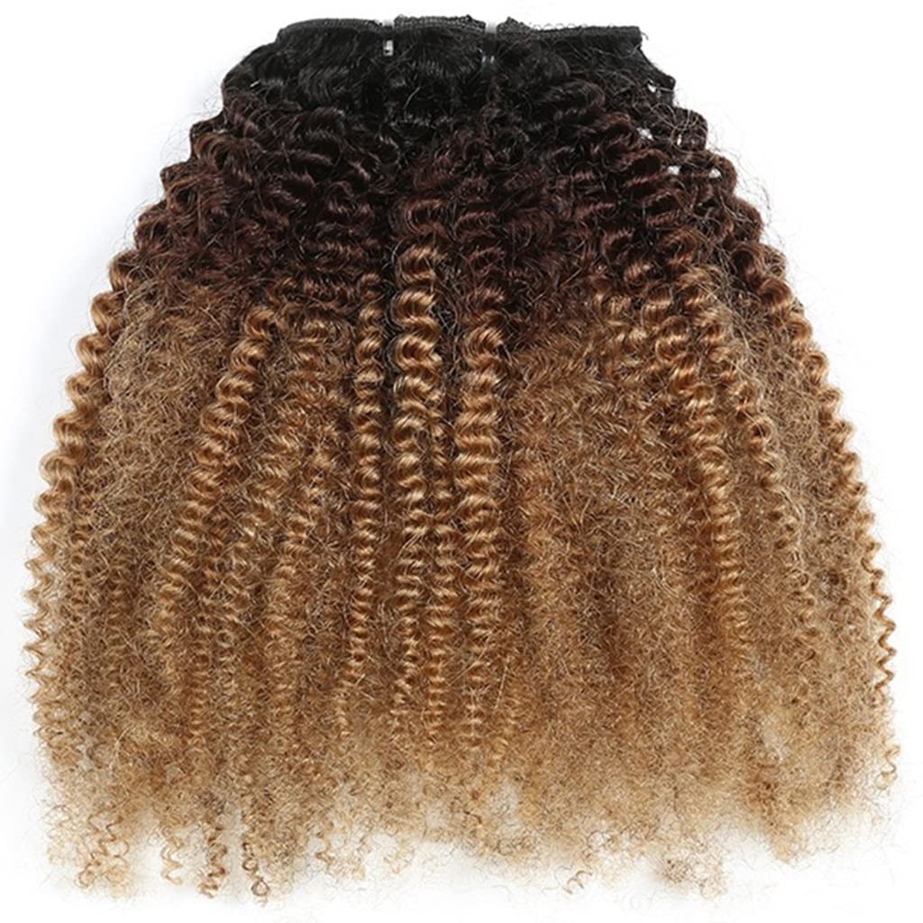 Afro Curly Clip-In Hair Extensions Ombre Human Hair - 10" Natural Black to Medium Brown To Dark Blonde (#1B/4/27)