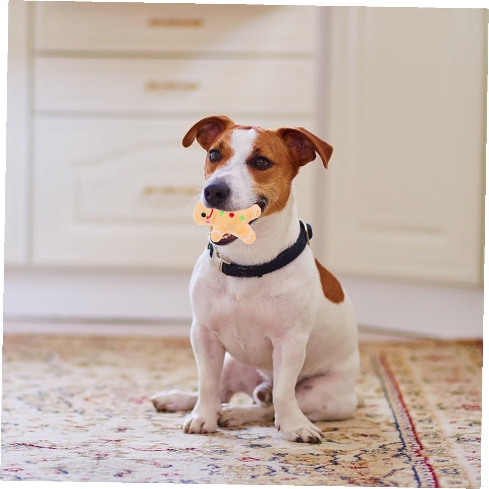 Jouet Peluche Chien Résistant à Mordre pour Nettoyage Dentaire et Mâchage Design Noël