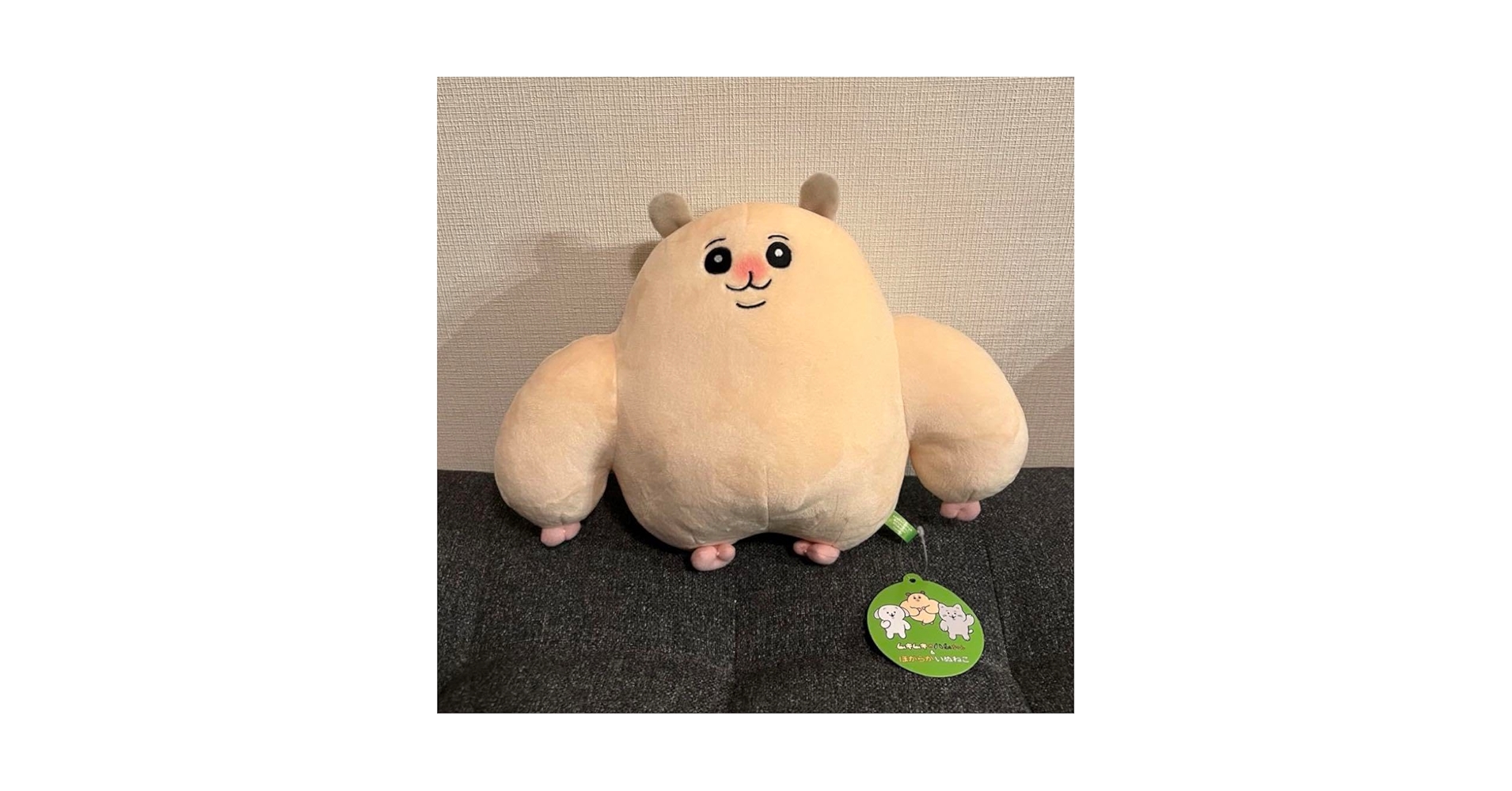 ムキムキのハムちゃん BIGぬいぐるみ 大人気作家『yukke』さんの描く、「ムキムキのハムちゃん＆ほ