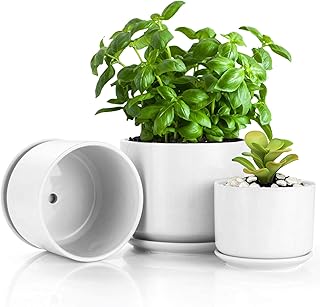 BUYMAX 4.2+5.2+6.2 inch Glazed Plant Pots with Connected Saucers, Round Modern Ceramic Flower Pots - Small to Large Size f...