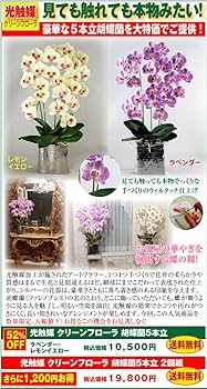光触媒　人工観葉植物　フェイクグリーン　プレミアム胡蝶蘭5本立W 光触媒 光の楽園 プレミアム胡蝶蘭5本立W【アートフラワー 造花
