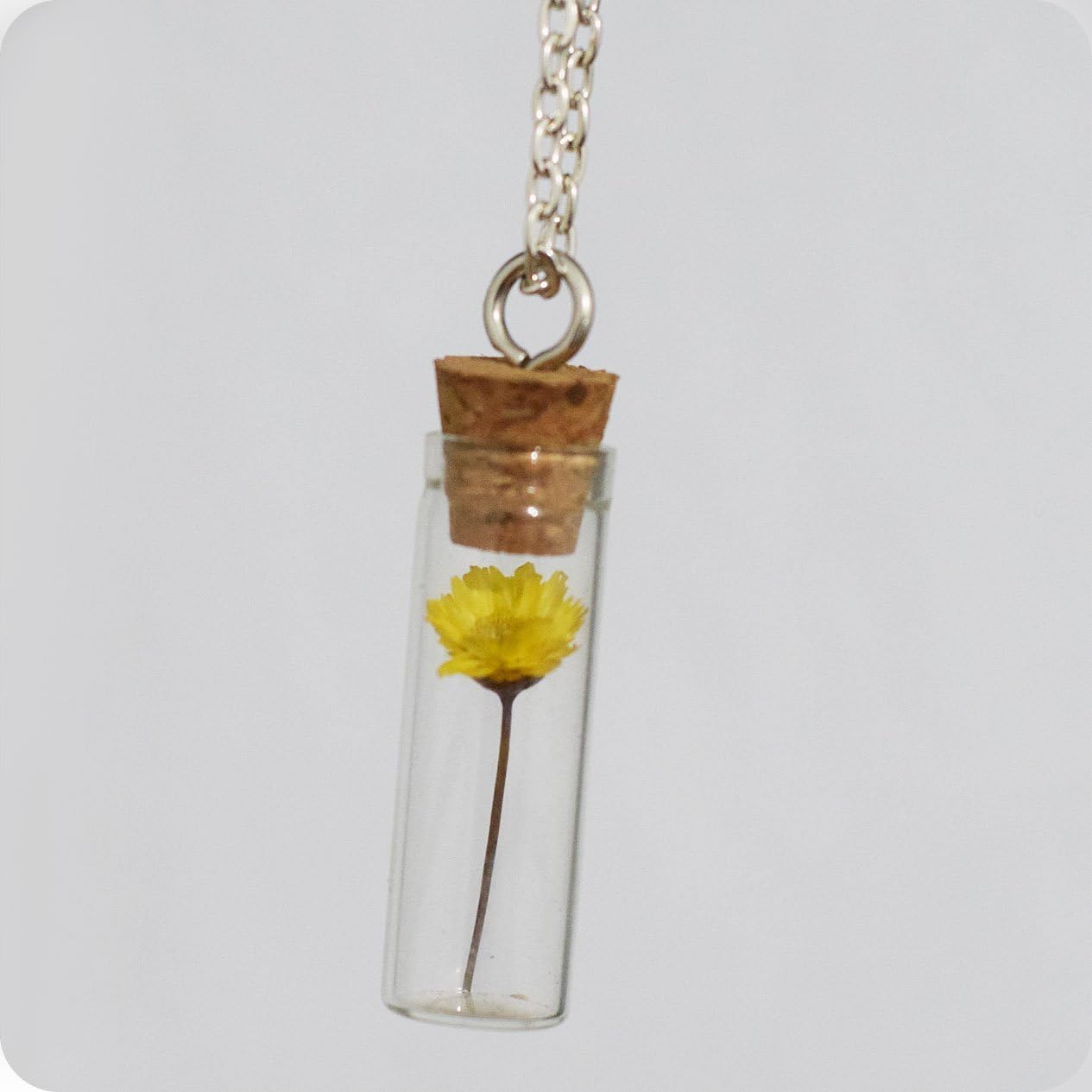 Dried Flower Necklace Yellow Flower Glass Vial Pendant Botanical Bottle Real Dry Plant Necklace Terrarium Nature Jewelry Gift