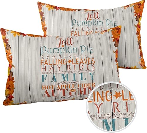 applebless 2 Packs Throw Pillow Covers Rectangle 20" x 12", Pumpkin Autumn Thanksgiving Waterproof Couch Cushion Cover for Sofa Bedroom Living Room