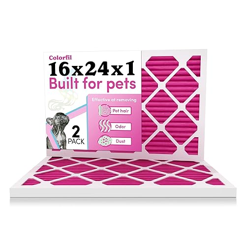 Colorfil 16x24x1 Air Filter (2-Pack) | Made in the USA