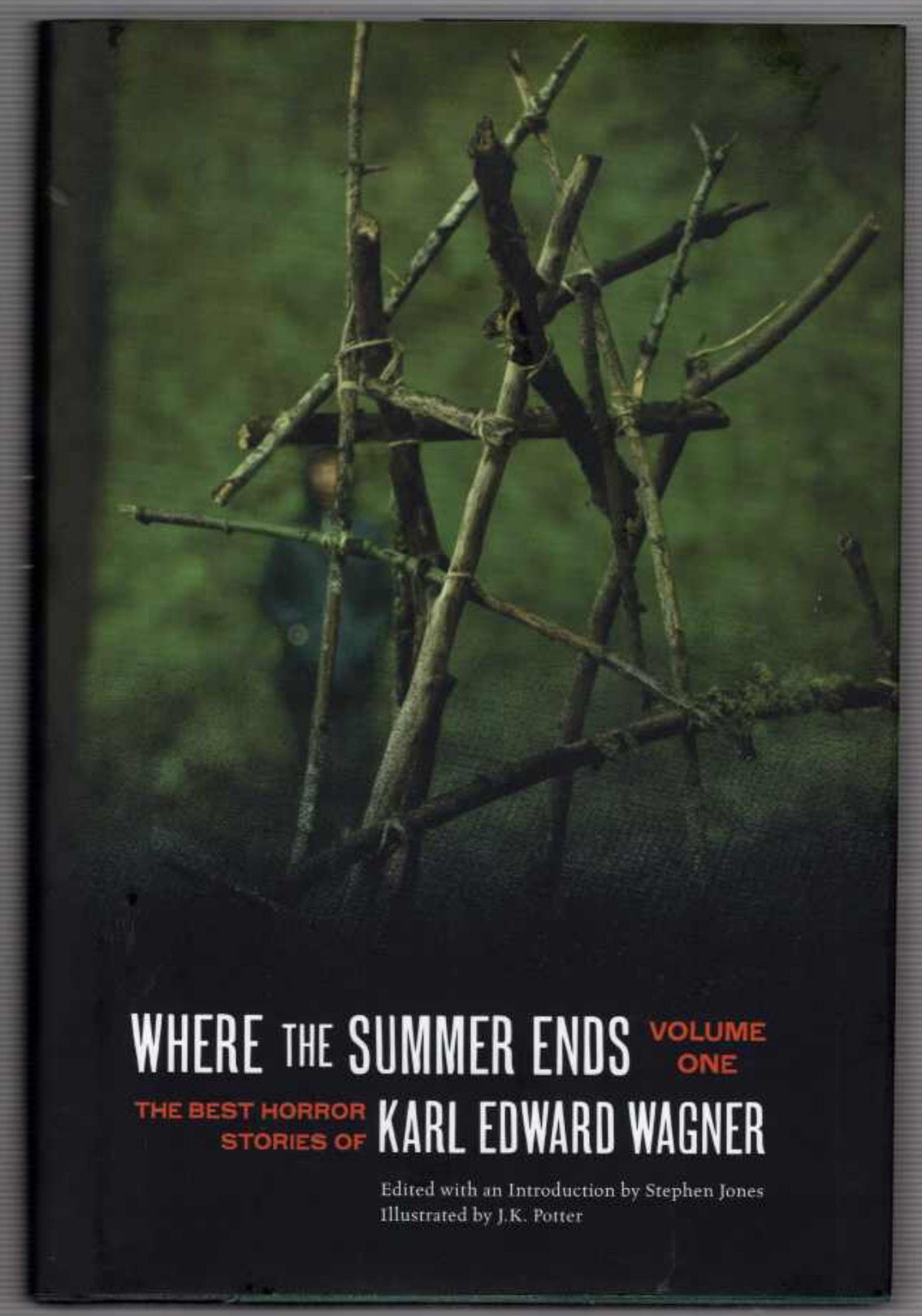 Buy Where the Summer Ends: The Best Horror Stories of Karl Edward Wagner: 1 — BookShops.in