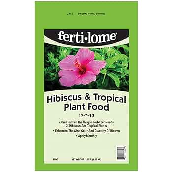 k.fsoon☆ Amazon.com: PLAXSOON Sunflower Building Set with Lights Vase