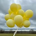 AMFIN (Pack of 50) Pastel Birthday Decoration Item Balloons - Yellow gallery image