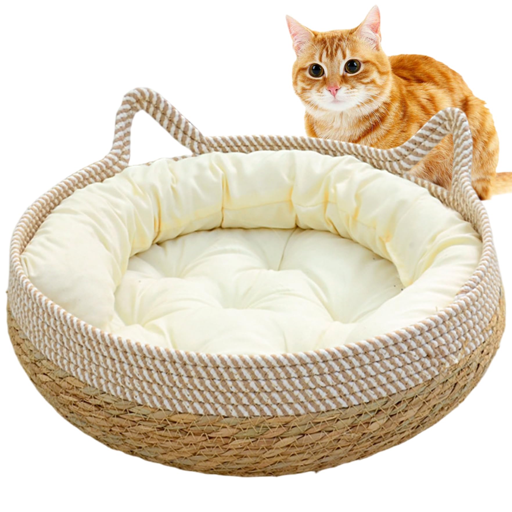 Lits de Chats pour Chats intérieurs, paniers de Chat tissés 16 x 6 Pouces avec Coussin Doux, lit Chaton à l'épreuve des Rayures Panier Rond Confortable