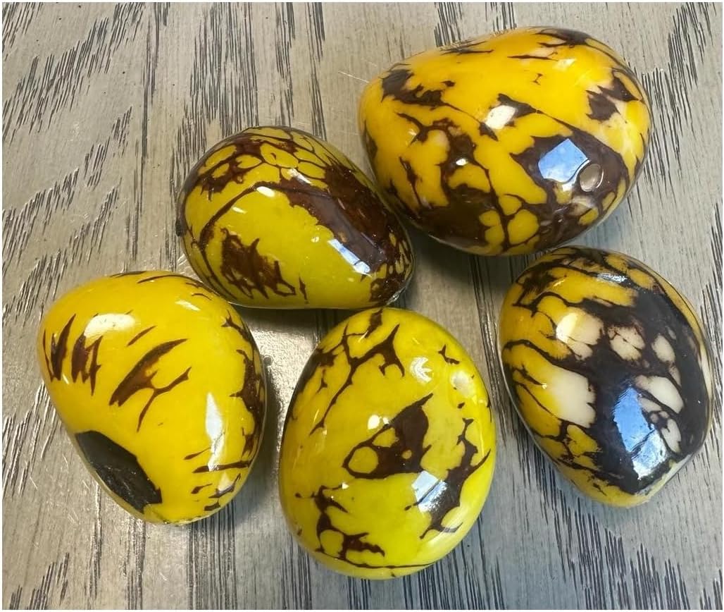 Generic Tagua Nut Tagua Seed Bead in Yellow Color | Set of 6 Tagua Nuts | Eco-Friendly Bead | Natural Bead for Sustainable Jewelry Making | 4×3.5 cm. Approx. | Undrilled | Carving | Woodwork, Medium