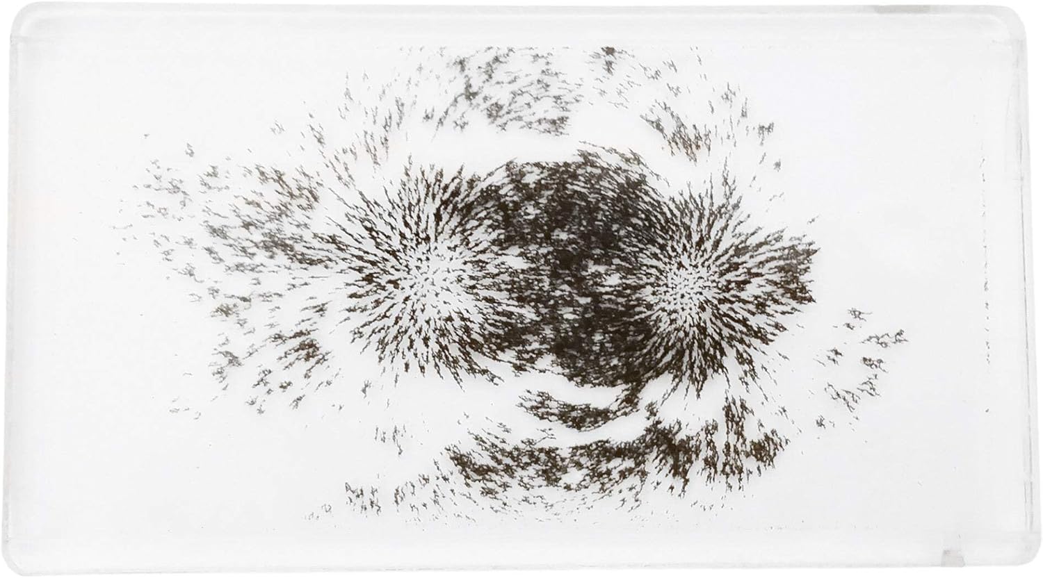 MAGFLD Magnetic Field Demonstration - Explore Magnetism in Science Education. Size 6.4 x 3.6 x .45 inches.