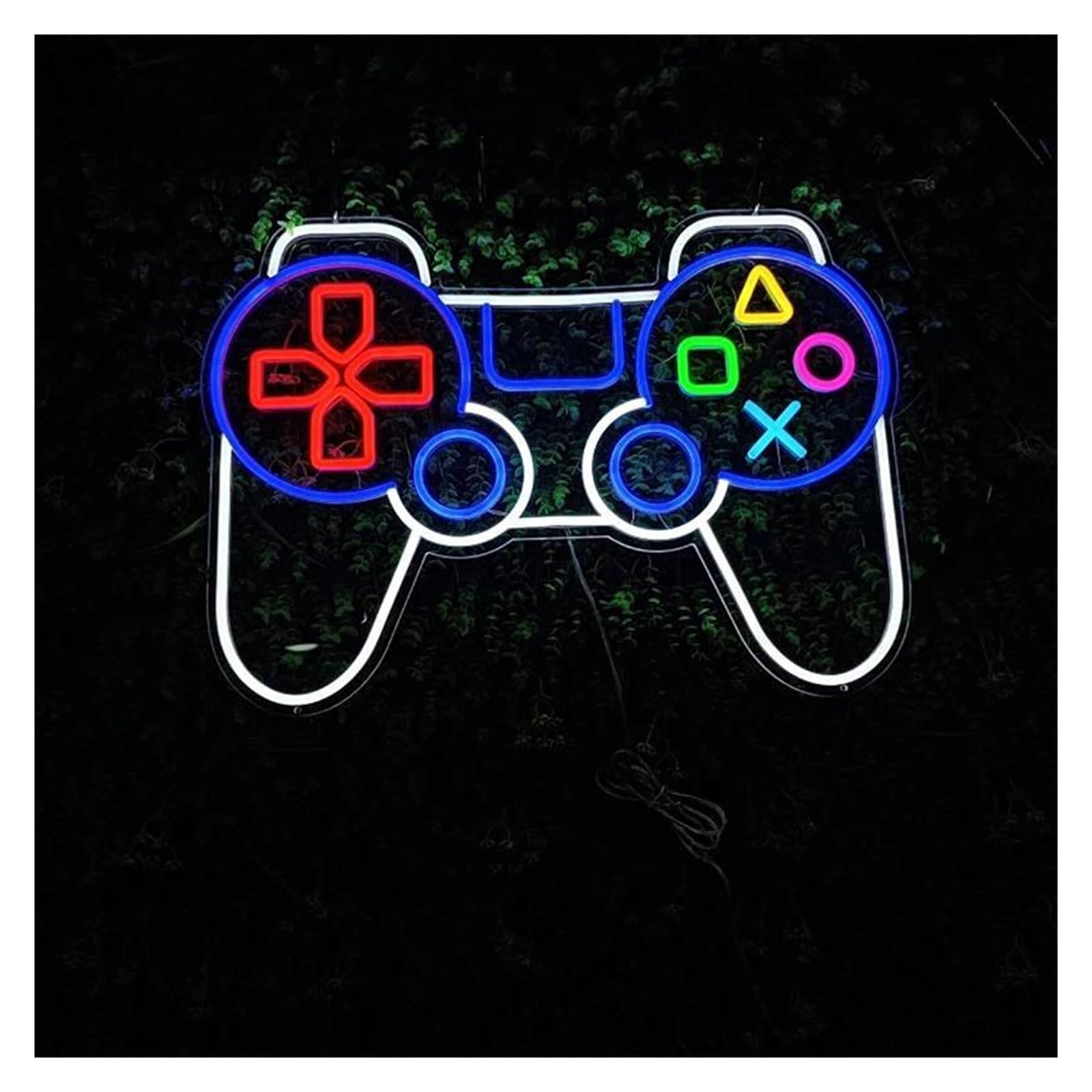 LEMST Signs Lamp Gaming Remote Neon Signs USB Powered Adjustable Brightness for Wall Decor(B,50CM)