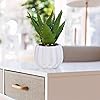 Product Photo 9