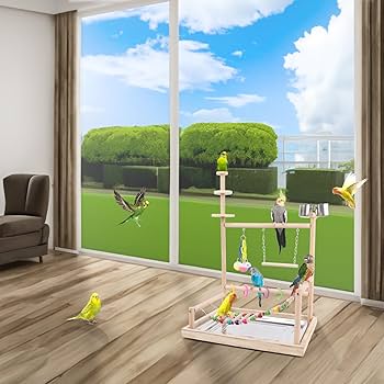 中小型. オウム遊園地 訓練する. 着地棚のおもちゃ.9 Amazon | 鳥 遊び場 インコ おもちゃ オウム 遊園地 小鳥 競技場