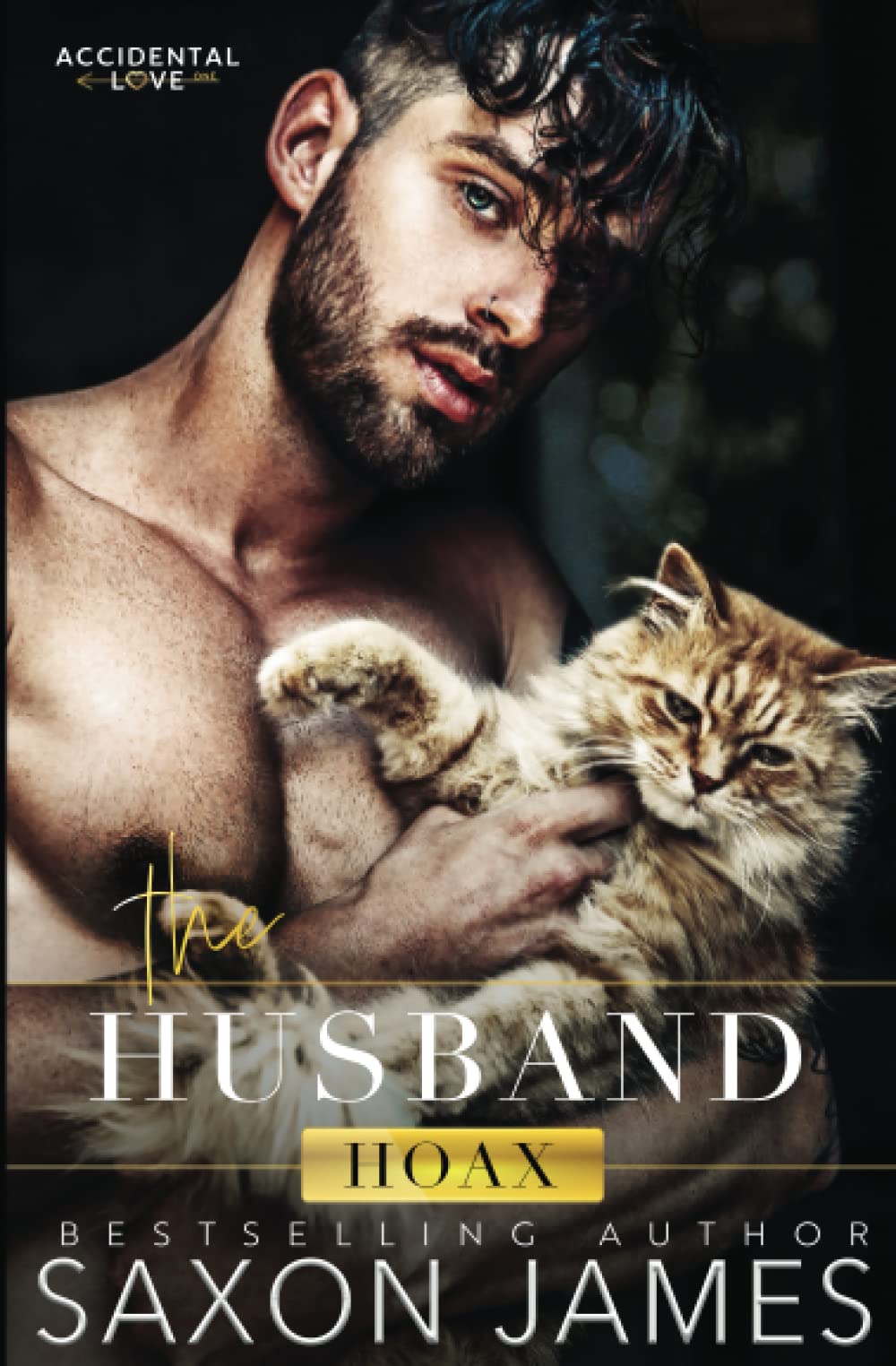 The Husband Hoax (Accidental Love)