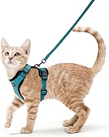 Vista 189 de rabbitgoo Arnés y correa para caminar, a prueba de escapes, chaleco suave y ajustable para gatos, fácil de controlar, transpirable, tiras