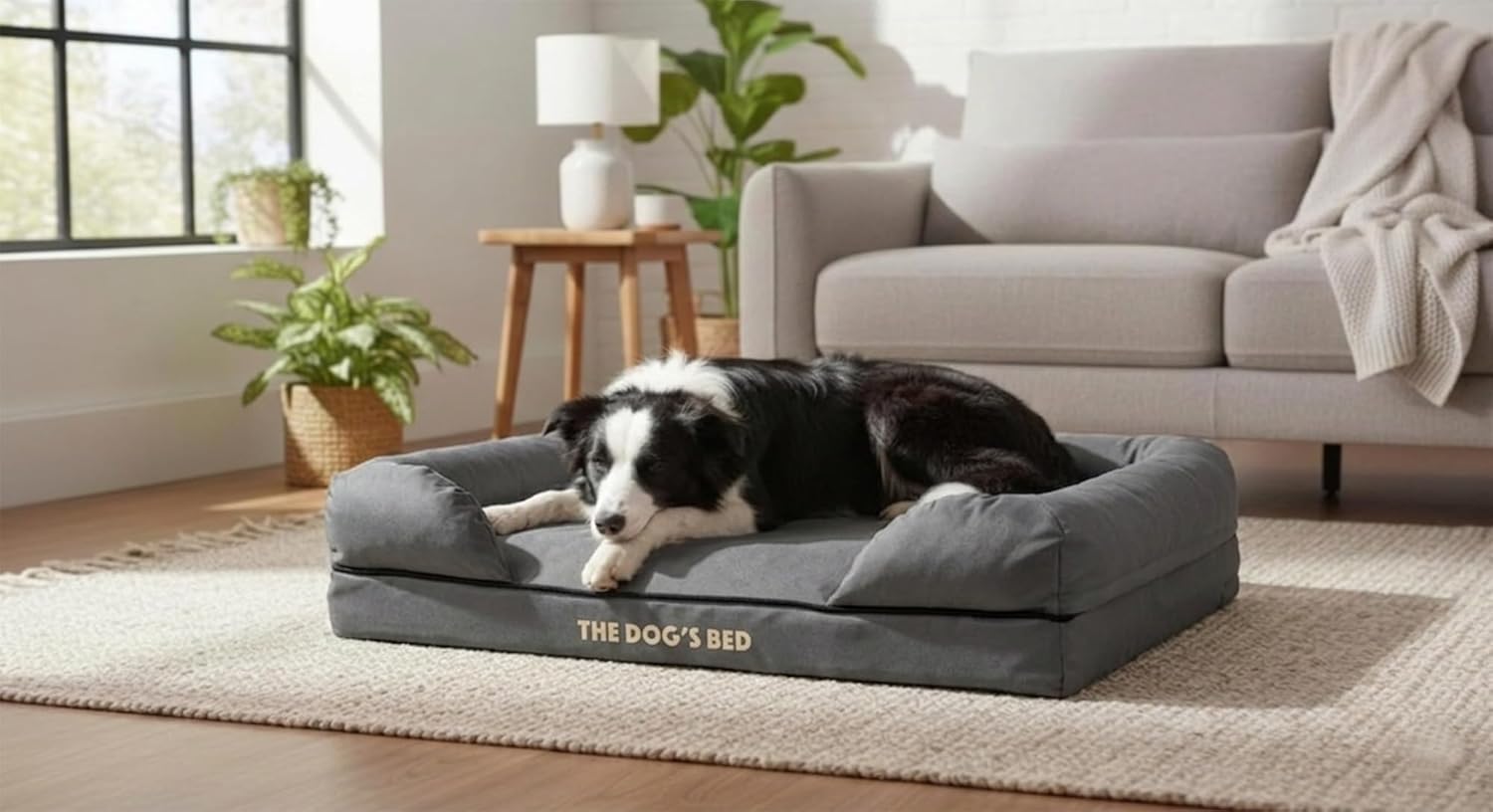 The Dog’s Bed Orthopedic Memory Foam Dog Bed with Bolsters for Medium Dogs, High Density Support Mattress, Low Front Entry, Removable Washable Cover, Oxford Fabric, Grey with Black Trim, Medium