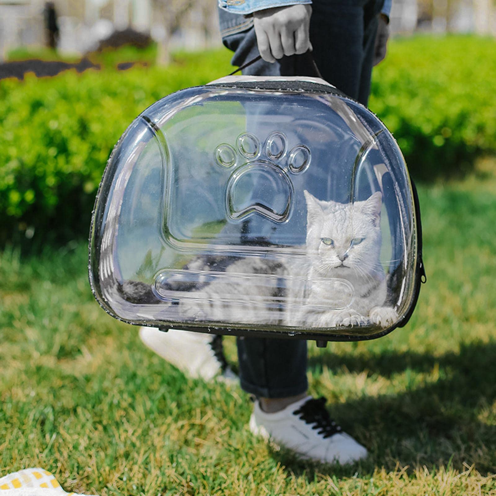 Katzen Transportbox, Durchsichtig, Belüftet, Flugtauglich, für Kleine Und Mittelgroße Hunde, Welpen, Spaziergänge Und Camping, 42 cm x 26 cm x 35 cm