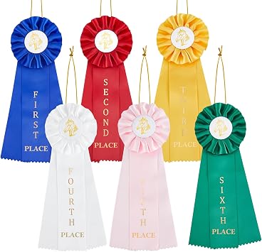 12 Pieces Award Ribbon, 1st - 6th Place Set Participation Prize Horse Show Rosette Award with Event Card Winner Recognition Ribbons for Competition Sports Event Contest Ornaments